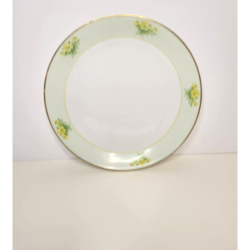 Vintage Hutschenreuther Selb Bavaria 8 inch Dinner Plate